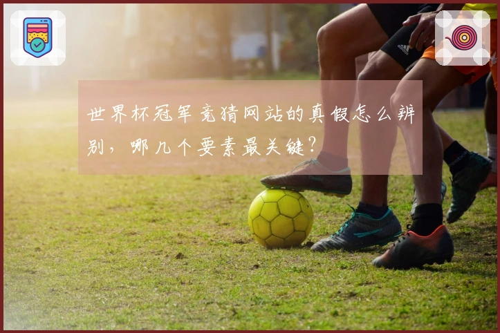 世界杯冠军竞猜网站的真假怎么辨别，哪几个要素最关键？