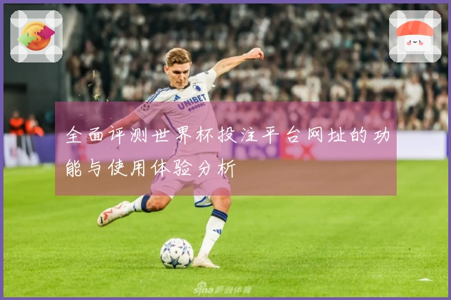 全面评测世界杯投注平台网址的功能与使用体验分析