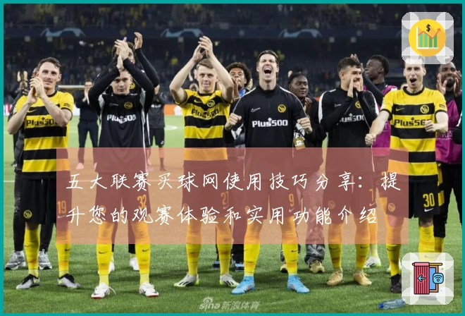 五大联赛买球网使用技巧分享：提升您的观赛体验和实用功能介绍