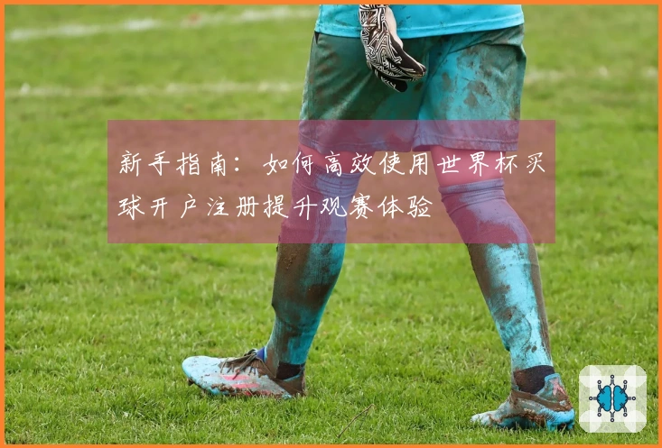 新手指南:如何高效使用世界杯买球开户注册提升观赛体验