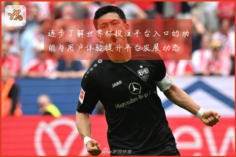 逐步了解世界杯投注平台入口的功能与用户体验提升平台发展动态