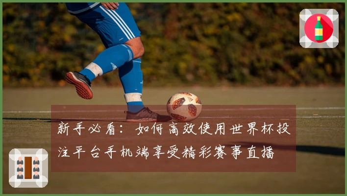 新手必看：如何高效使用世界杯投注平台手机端享受精彩赛事直播