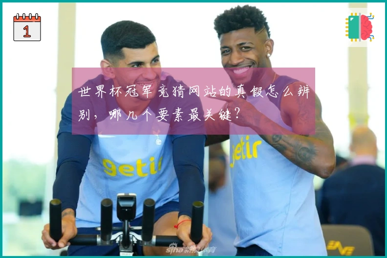 世界杯冠军竞猜网站的真假怎么辨别,哪几个要素最关键?