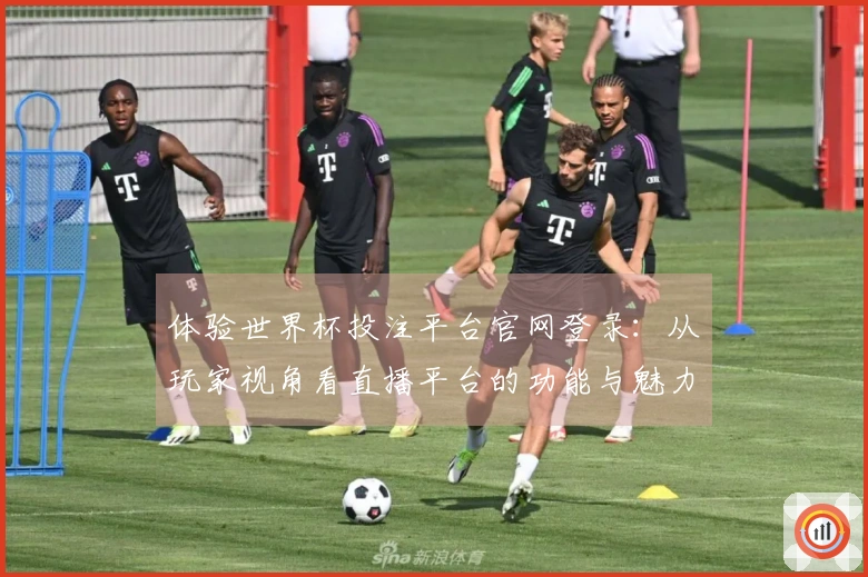 体验世界杯投注平台官网登录：从玩家视角看直播平台的功能与魅力