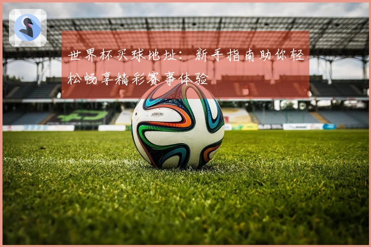 世界杯买球地址:新手指南助你轻松畅享精彩赛事体验
