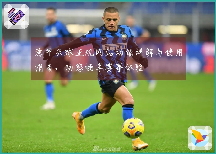 意甲买球正规网站功能详解与使用指南,助您畅享赛事体验