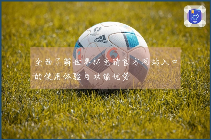 全面了解世界杯竞猜官方网站入口的使用体验与功能优势