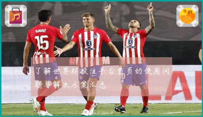 了解世界杯投注平台首页的使用问题与解决方案汇总