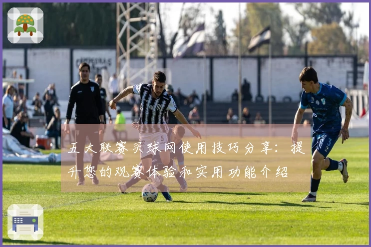 五大联赛买球网使用技巧分享：提升您的观赛体验和实用功能介绍