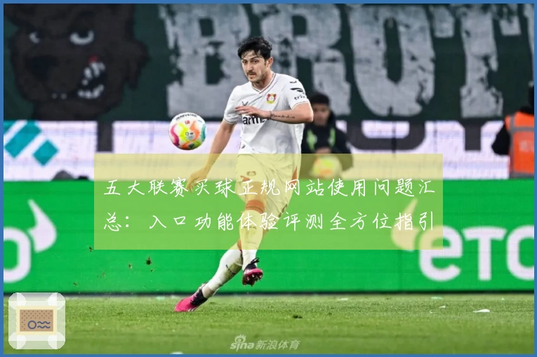 五大联赛买球正规网站使用问题汇总：入口功能体验评测全方位指引
